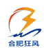 合肥狂风 队徽